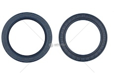 SIMERING PIASTY DAF 100X135X13/12 06826 647330