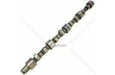 Sk hřídel vačkový | 83.004.501