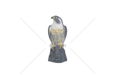 Sokol- strašák ptáků a hlodavců