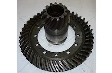 Soukolí kuželové Pravé Tatra - NN CH