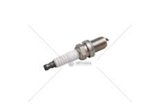 Spark Plug F2BE0641/F4BE0641 - STRALIS Iveco