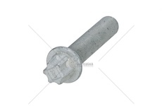 Šroub brzdového kotouče Gigant M18x1,5x80 Peters 326.001-00A