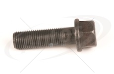 Šroub brzdového třmenu m20x2x60 rvi zn magnum dxi12/13, magnum e.tech  0107815_A