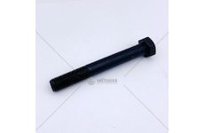 Šroub hlavy válců T L120 Avia A30, A31