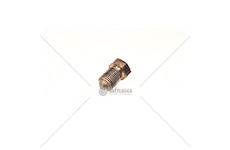 Šroub řadicí vidlice 16147013