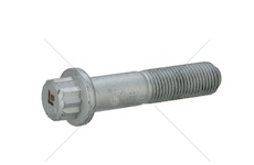 SRUBA MOCOWANIA TARCZY HAM.SAF M14X1,5X6 LEMA LE9014007.1