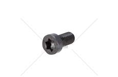 SRUBA POKRYWY ZACISKU KN/WABCO/MERITIR UNIBRAKE UNB0120