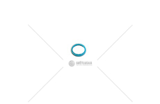 Stírací kroužek WD 53256905