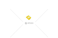 Symbol uzávěrky difererenciálu COBO 16359938