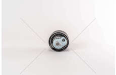 Tensioner Pulley, timing belt F1AE0481/3481 - DAILY/DUCATO Dayco