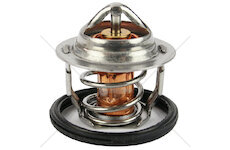 Termostat 71°c | 19434-7301-3