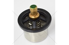 Termostat DAF 106XF EURO 6 DAF 1953171