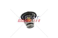 Termostat Renault Master II 98> 3.0 DCI FT58033