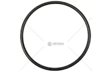 Těsnění 60x3 pro servo hr450 | 637725800