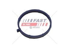 Těsnění kolektora ford transit 06> sací /11>  2.2 tdci ft49467