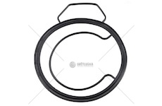 Těsnění odlučovače oleje MAN TGX Orex 216022