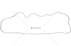 Těsnění oleje XF/CF MX13 EURO 6 DAF 1853603