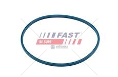 Těsnění palivového čerpadla fiat ducato 06> palivová nádrž oring ft48504
