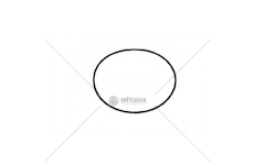 Těsnění palivového filtru Z25969.09