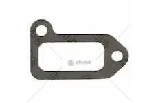 Těsnění sacího potrubí lombardini | TZL30004