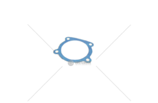 Těsnění termostatu 78005126