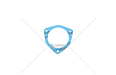 Těsnění termostatu 80005087