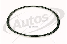 Těsnění termostatu man d2066/d2565/d2566/ d2676/d2840/d2842/d2865/d2866/2876 0128045_A