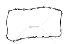 Těsnění vany renault kangoo ii 08> 1.4/1.6 16v hw120020