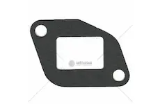 Těsnění výfuku | 50003750