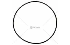 Těsnící kroužek 162x3,5 viton | 16.196.902VIT