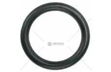 Těsnící kroužek | 6005000234