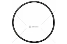 Těsnící kroužek | R112857