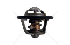 Thermostat, coolant LM5040/TIER3 - F4GE/F4CE D.60 Iveco