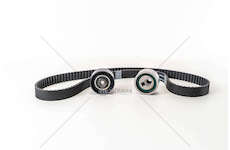 Timing Belt Set DW8 - SCUDO/RANCH/BERLINGO 1.9D Ina