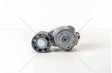 Timing Belt Set F3GFL611 - STRALIS AD/AS/AT M.Y. 2016 Dayco