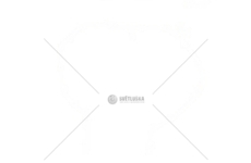 USZCZ.OBUDOWY ROZRZADU SCANIA 4 COSIBO 66493