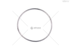 USZCZELKA DAF E6 DINEX DIN2AL018