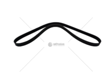 V-Ribbed Belt 6PK1160 - CINGHIA ALT. DUCATO 3.0 Dayco