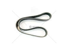 V-Ribbed Belt 8PKx975 POLI-V (1 pcs) Mec-Diesel