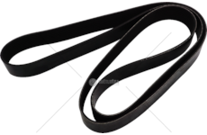 V-Ribbed Belt CINGHIA 10PK2050 Dayco