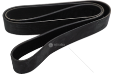 V-Ribbed Belt CINGHIA 12PK1830 - CURSOR 13 Dayco