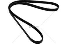 V-Ribbed Belt CINGHIA 4PK1025HD Dayco