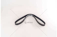 V-Ribbed Belt CINGHIA 6PK1050 Dayco