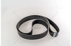 V-Ribbed Belt CINGHIA Iveco