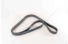 V-Ribbed Belt CINGHIA POLI V 8 PK 2515 T9030/40 Iveco