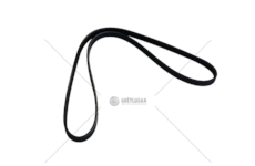 V-Ribbed Belt CROMA/THEMA/HIACE IV/164 2.0 Dayco