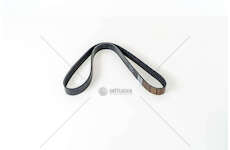 V-Ribbed Belt D0834/D0836 - TGL/TGM Dayco