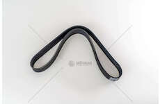 V-Ribbed Belt D12 - FH/NH SERIES Dayco