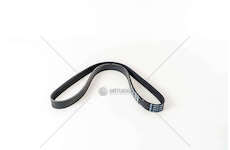 V-Ribbed Belt F1AE3481D - DUCATO 7PK1236 Fiat Powertrain Technologies