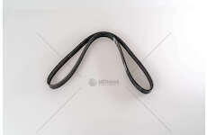 V-Ribbed Belt F1AE3481D - DUCATO Dayco